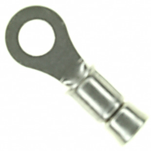 323199 Image
